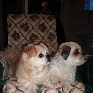 Meet your Posher, Jan